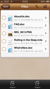 Come proteggere con una password i file dell'iPhone