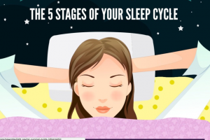 Sleep Cycle